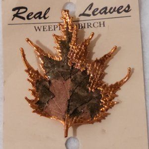 Real leaf  Weeping Birch copper brooch